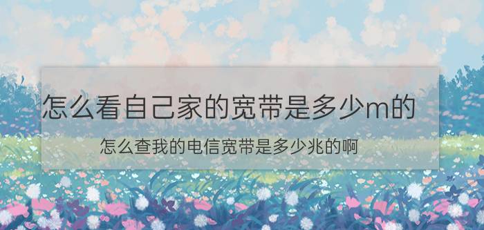 怎么看自己家的宽带是多少m的 怎么查我的电信宽带是多少兆的啊？